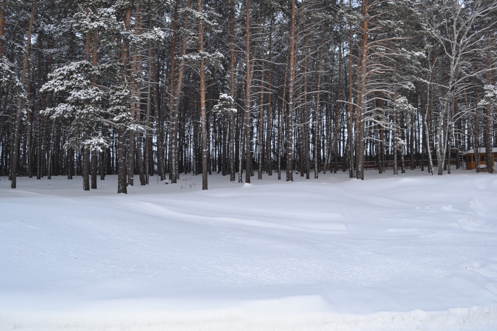 Загородный дом